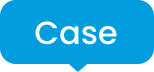 Case